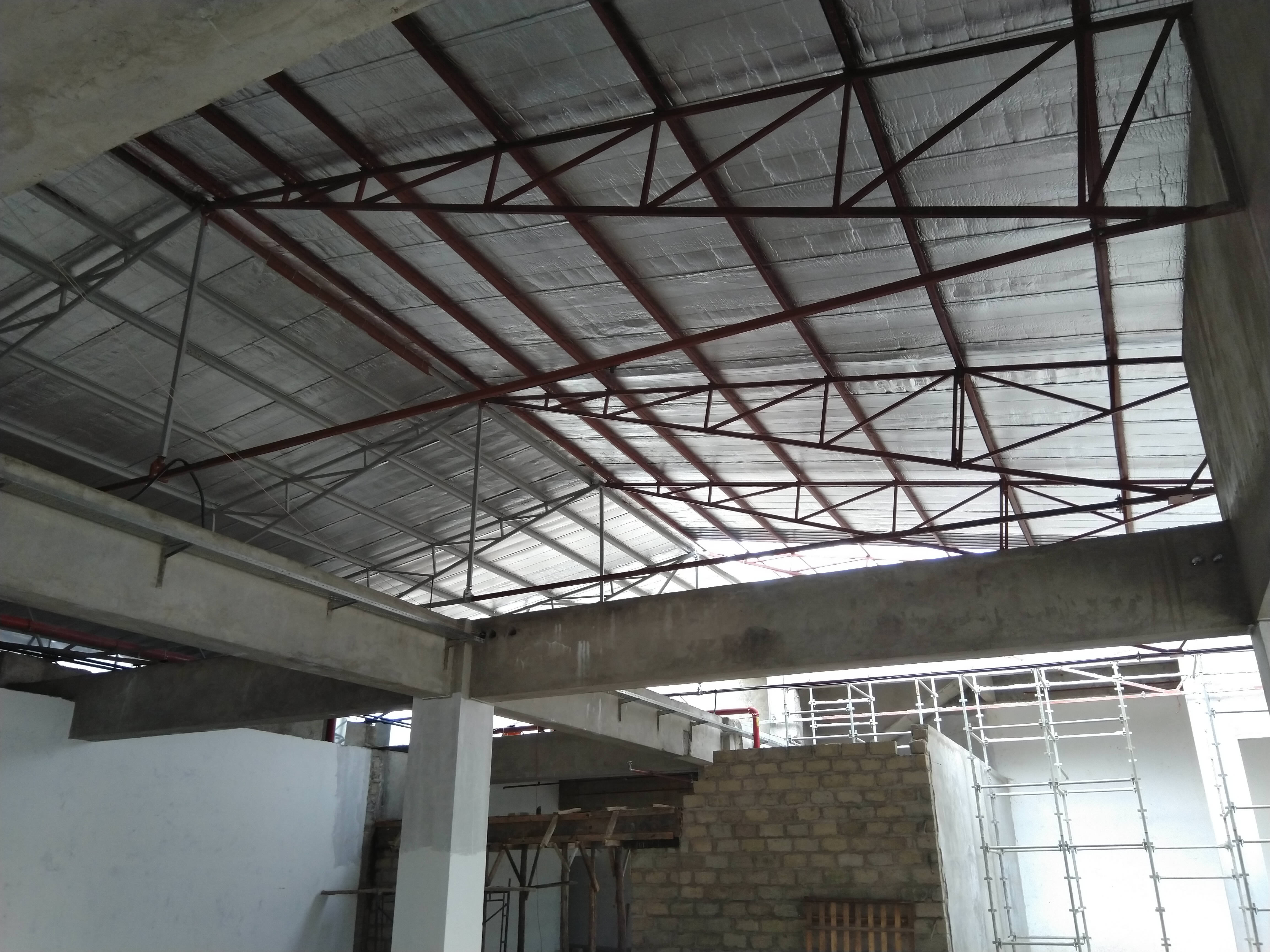 Roof Structure - Arena Mall